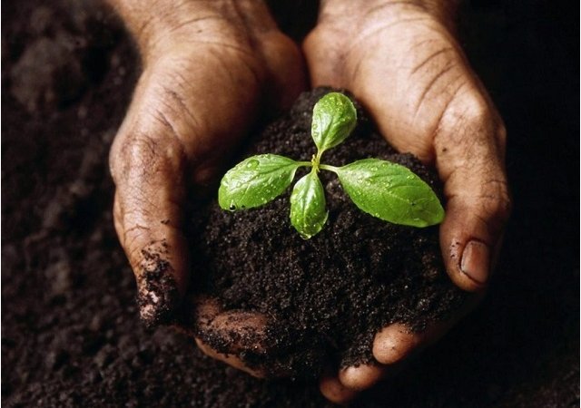 La situation n’a jamais été aussi urgente, et ce dans l’histoire de l’humanité.