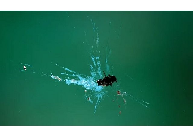 Pourquoi n'y a-t-il plus d'insectes sur vos pare-brises ?