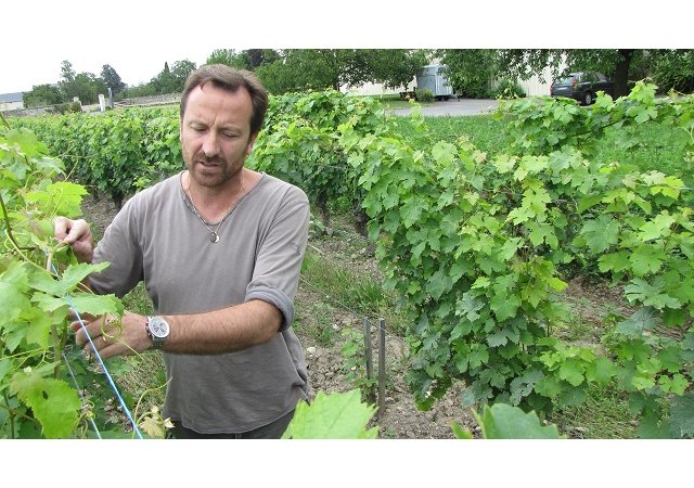 5 étoiles pour 5 vignerons du Val de Loire !