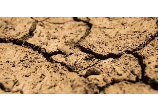 Pour une agriculture mieux armée contre la sécheresse