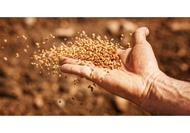 L’UNION EUROPÉENNE AUTORISE LA VENTE DES SEMENCES PAYSANNES !