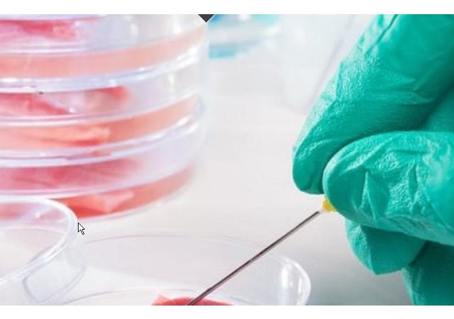 La « viande de laboratoire »