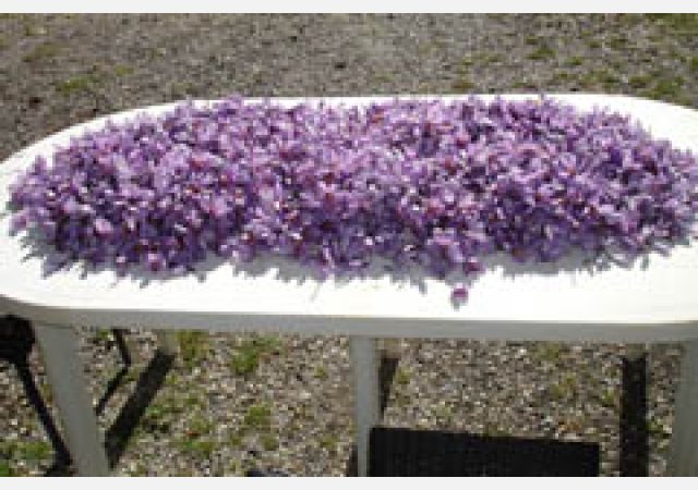 Dans la vallée du Jabron