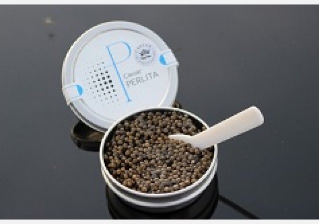 Plateau de fruits de mer frais